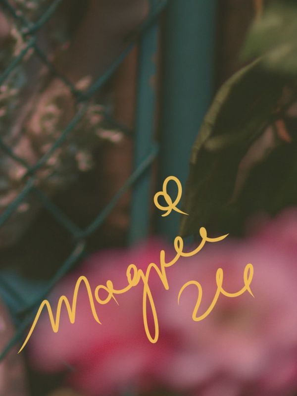 Detail of blurred pink flowers in the foreground with the golden Magpie signature, fence and dress soft behind.