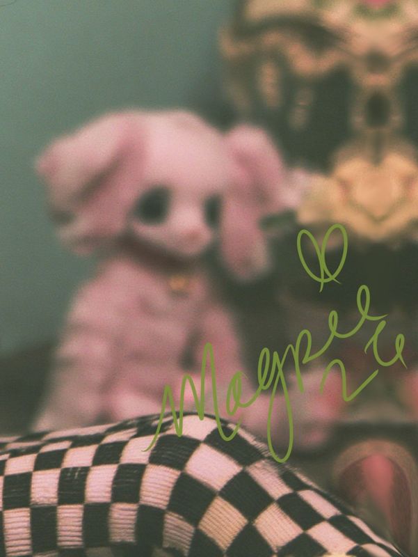 Close up of the lower right: a pink plush poodle and a checkered stocking with the Magpie signature in green script.