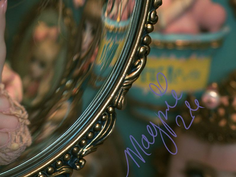 Close up of the right side: the ornate dark frame edge and blurred pink doll shelves with the Magpie signature in violet script.
