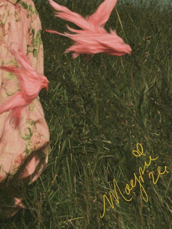 Close up of the lower right corner: pink floral skirt over grass with the Magpie signature in gold script.