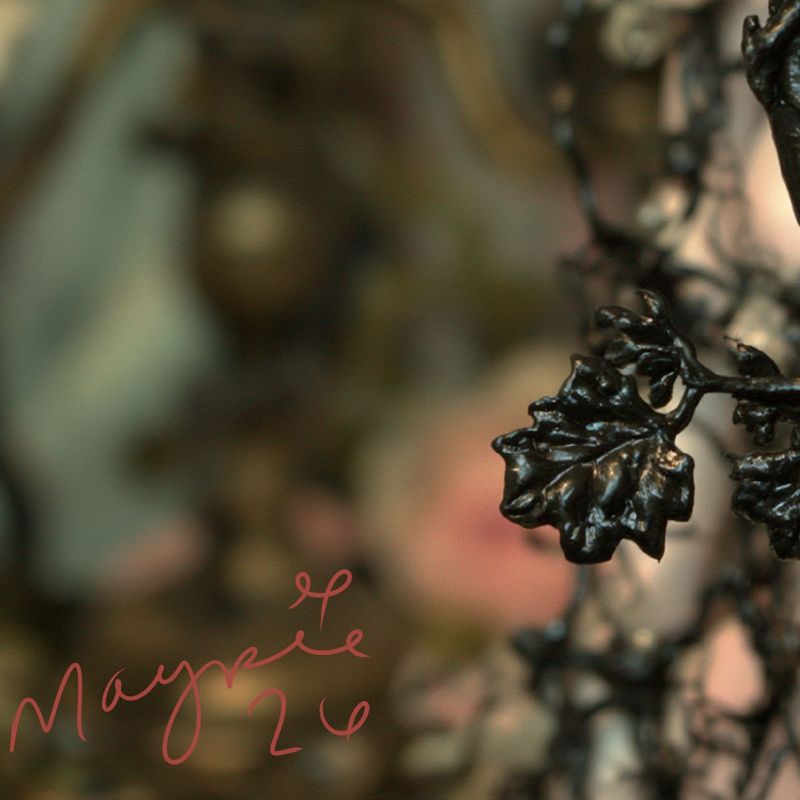 Close up of the lower left corner: dark wire leaves and soft shadow with the Magpie signature in rose script.