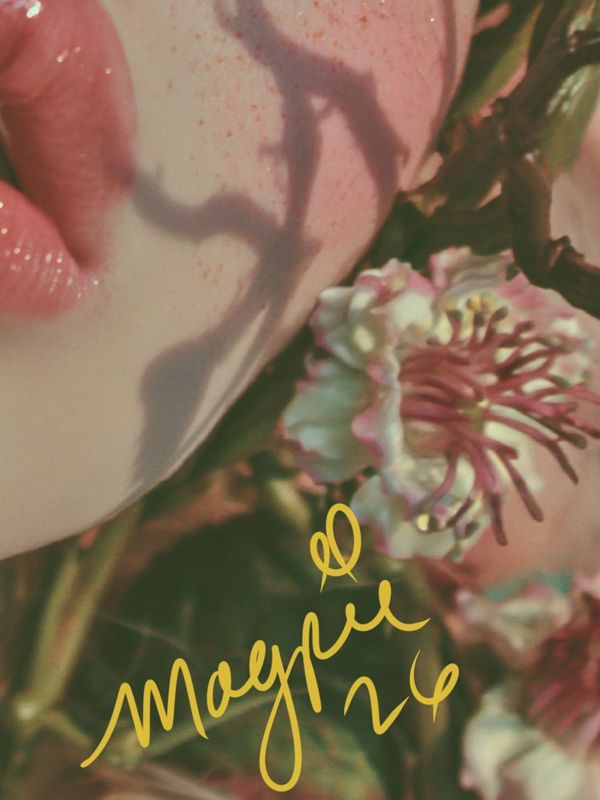 Close up of the lower right corner: pink and cream blossoms and teal fabric with the Magpie signature in yellow script.