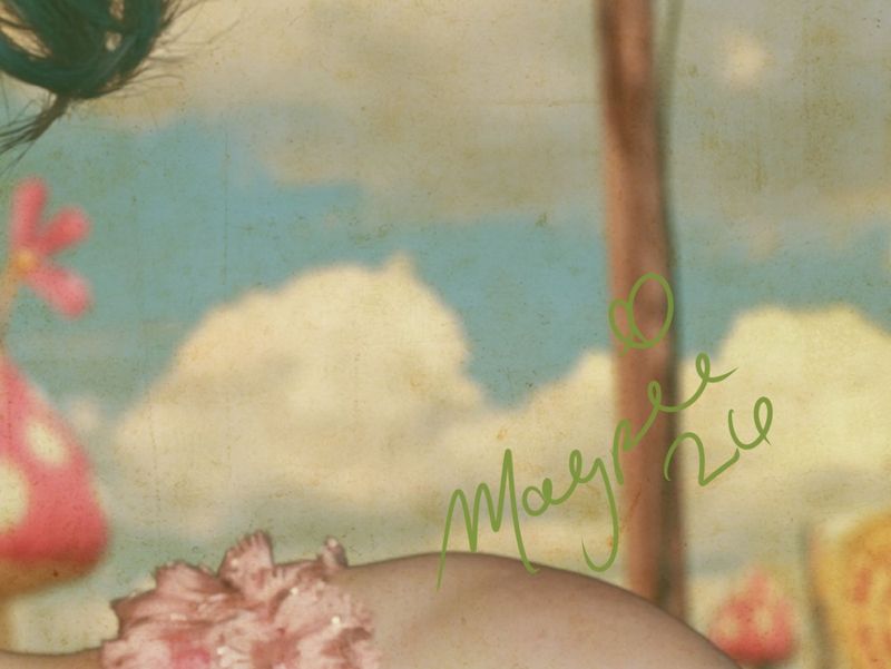 Close up of the lower right: a spotted mushroom, a wooden utility pole and clouds with the Magpie signature in green script.